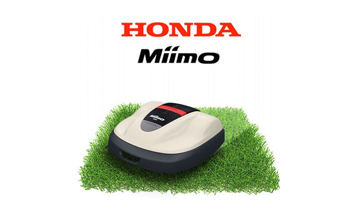 Logo-Miimo